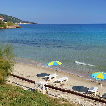 Dolphins House コイニラ