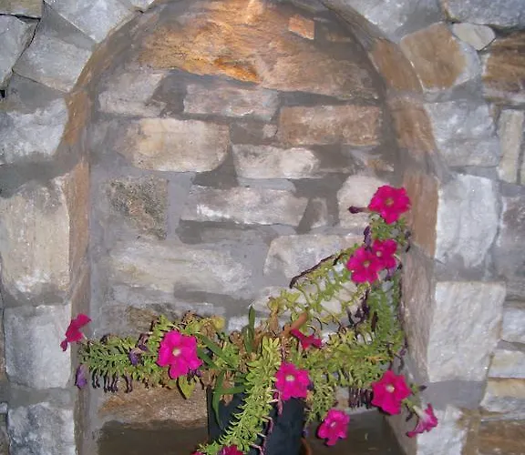 Dolphins House アパート