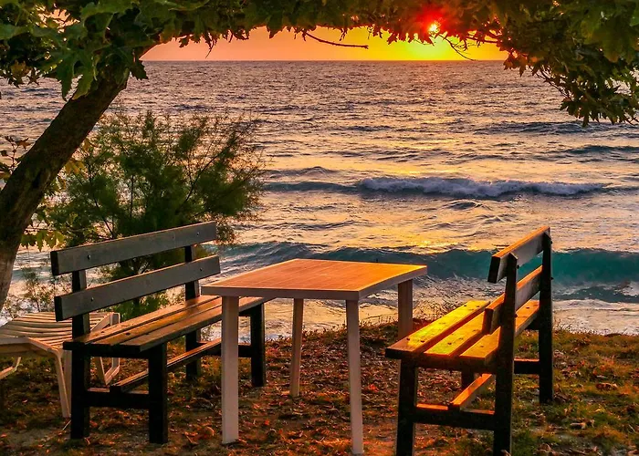 Dolphins House アパート コイニラ