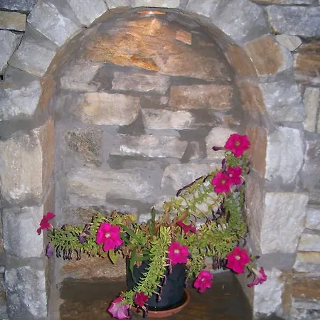 Dolphins House Apartmán