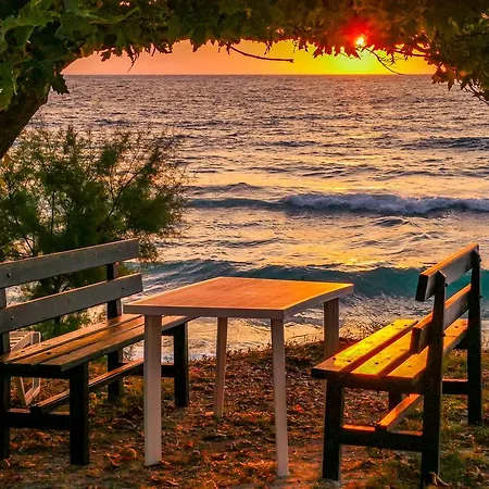 Dolphins House Apartament Kinira