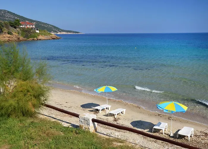 Dolphins House Koinira